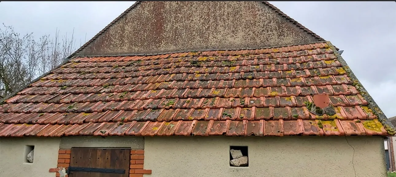 Toiture en tuiles couverte de mousses avant rénovation par KING RENOV